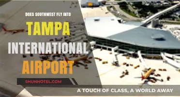 Southwest Airlines: Tampa International Airport Flight Services Explained