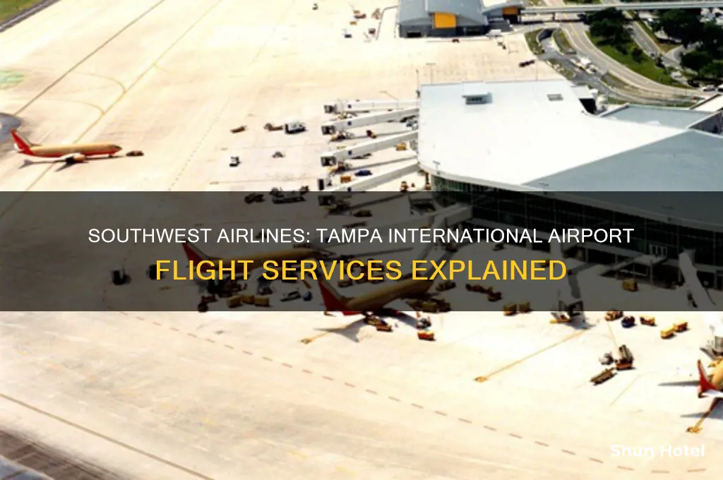 does southwest fly into tampa international airport