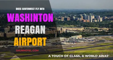 Does Southwest Airlines Service Washington Reagan Airport? Your Travel Guide