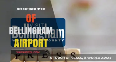 Southwest Airlines: Does It Operate from Bellingham Airport?
