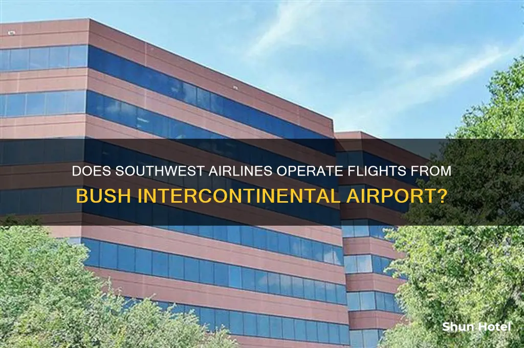 does southwest fly out of bush airport