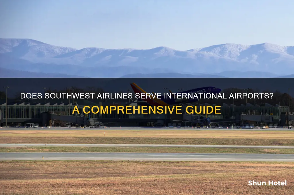 does southwest fly to international airport