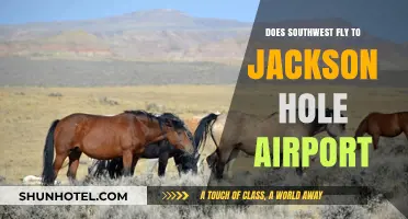 Southwest Airlines Flights to Jackson Hole: Routes and Availability
