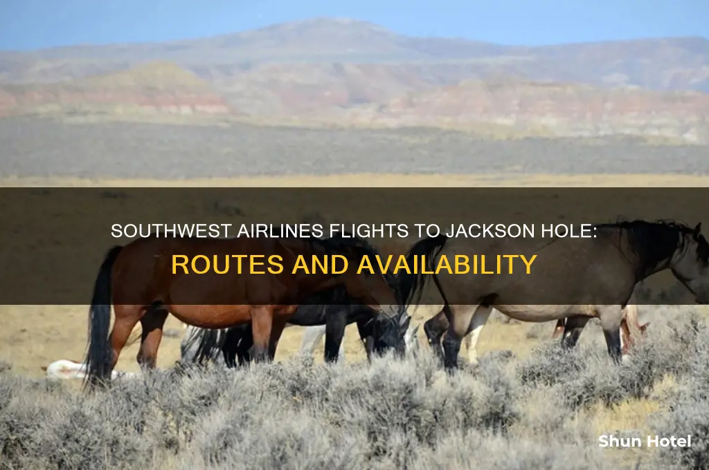 does southwest fly to jackson hole airport