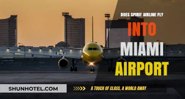 Spirit Airlines Miami Flights: Does Spirit Fly into Miami Airport?