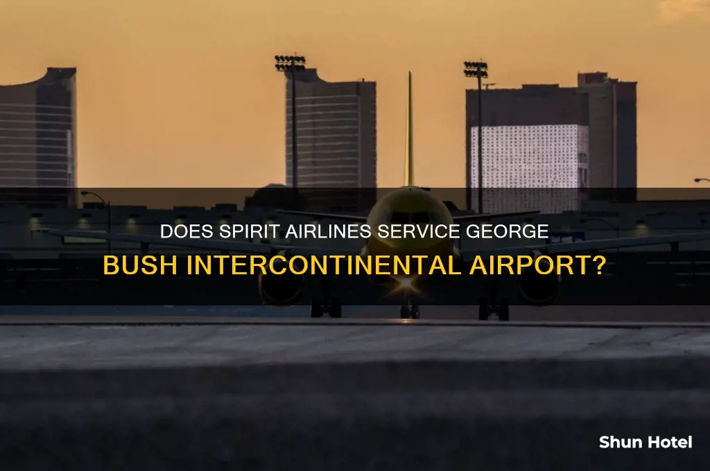 does spirit airline fly to george bush intercontinental airport