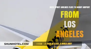Spirit Airlines Flights from Los Angeles to Hobby Airport: What to Know