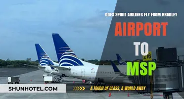 Spirit Airlines Flights: Bradley Airport to MSP Route Availability