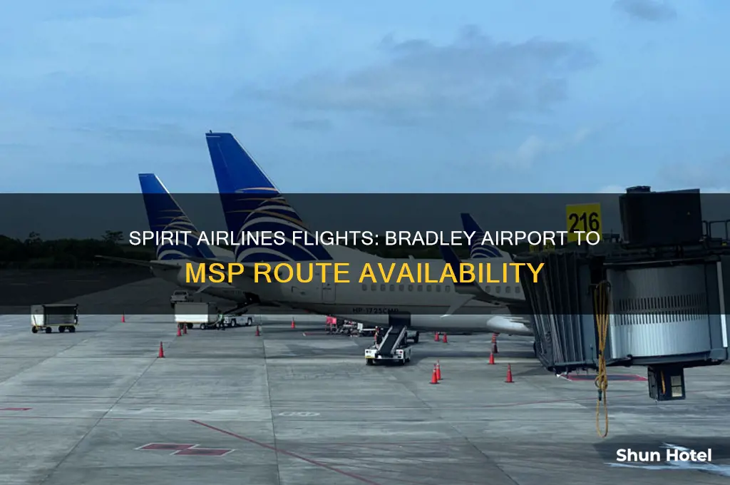 does spirit airlines fly from bradley airport to msp