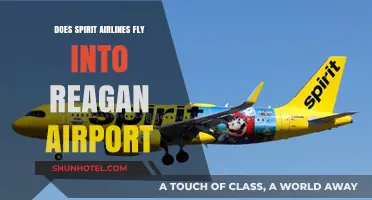 Spirit Airlines at Reagan Airport: Routes, Schedules, and Travel Tips
