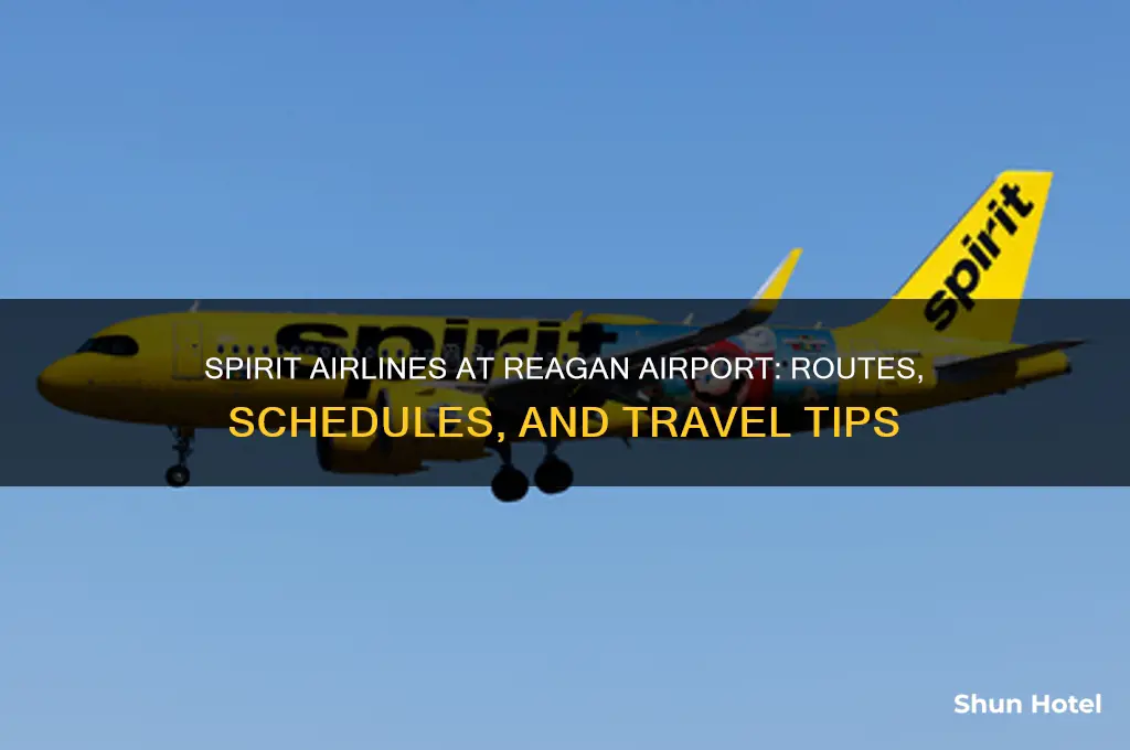 does spirit airlines fly into reagan airport