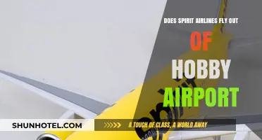 Spirit Airlines at Hobby Airport: Routes, Schedules, and Travel Tips