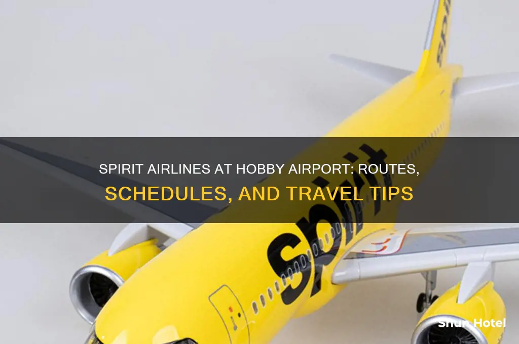 does spirit airlines fly out of hobby airport