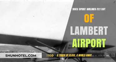 Does Spirit Airlines Operate Flights from Lambert Airport? Find Out