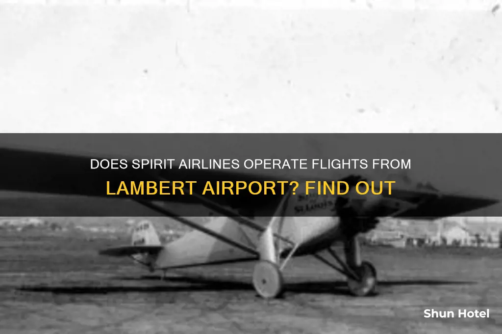 does spirit airlines fly out of lambert airport