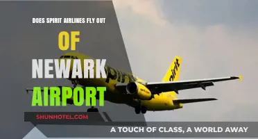 Spirit Airlines at Newark Airport: Your Ultimate Flight Guide