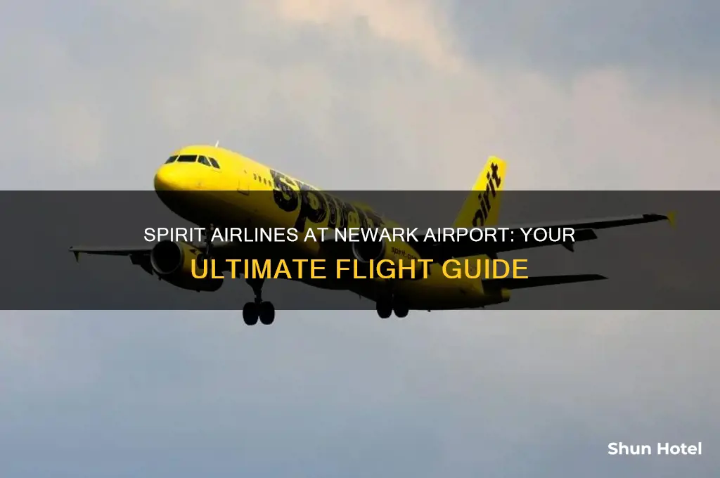 does spirit airlines fly out of newark airport