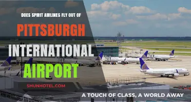 Spirit Airlines at Pittsburgh International: Routes, Schedules, and Services
