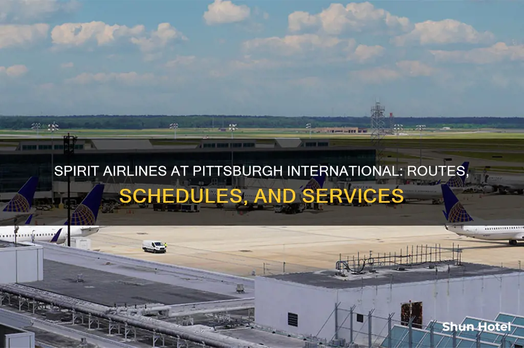 does spirit airlines fly out of pittsburgh international airport
