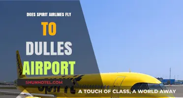 Does Spirit Airlines Fly to Dulles Airport? A Comprehensive Guide