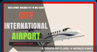 Spirit Airlines to MLI: Quad City International Airport Flights Explained