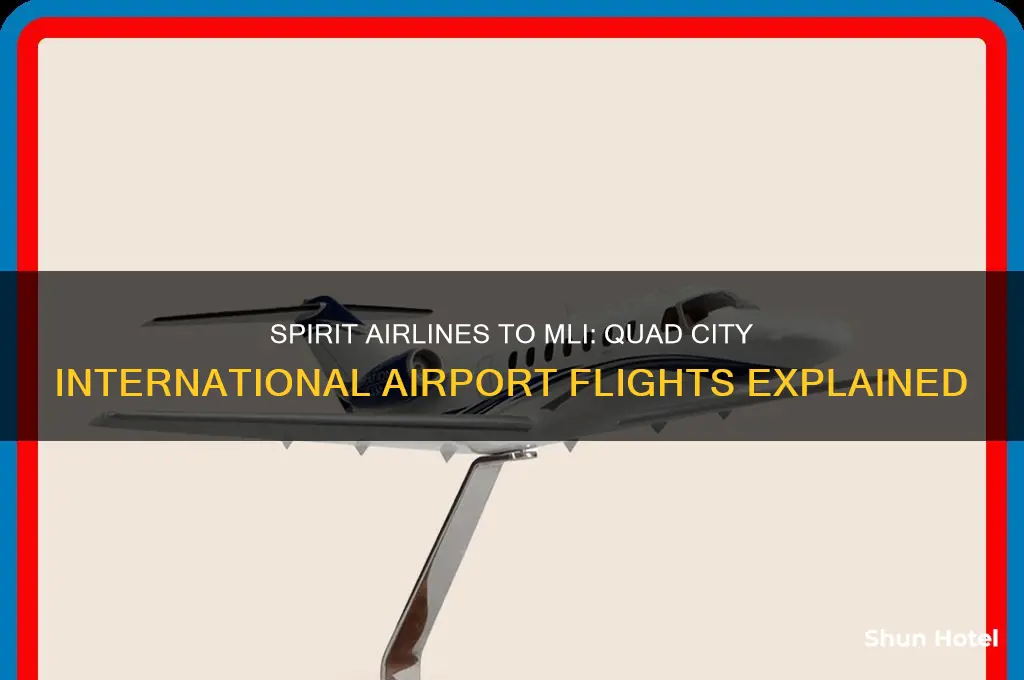 does spirit airlines fly to mli quad city international airport