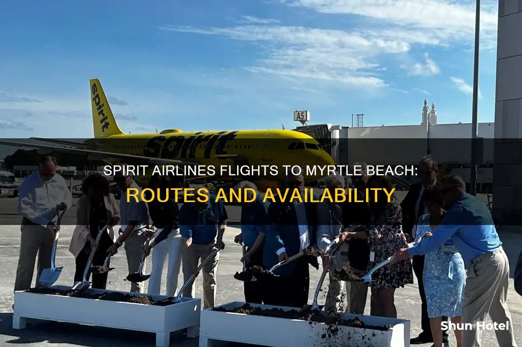 does spirit airlines fly to myrtle beach airport
