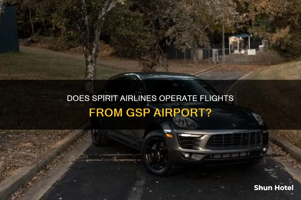 does spirit fly out of gsp airport