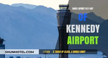 Does Spirit Airlines Operate Flights from JFK Airport?