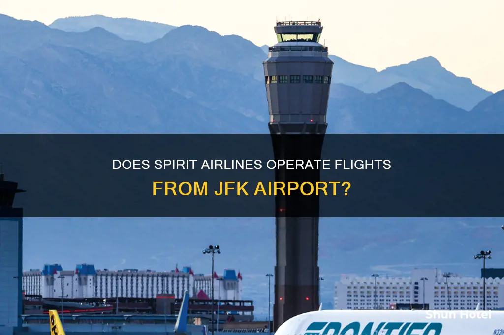does spirit fly out of kennedy airport