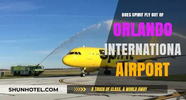 Spirit Airlines Flights: Orlando International Airport Departure Guide