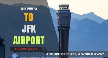Does Spirit Airlines Operate Flights to JFK Airport? Find Out Here