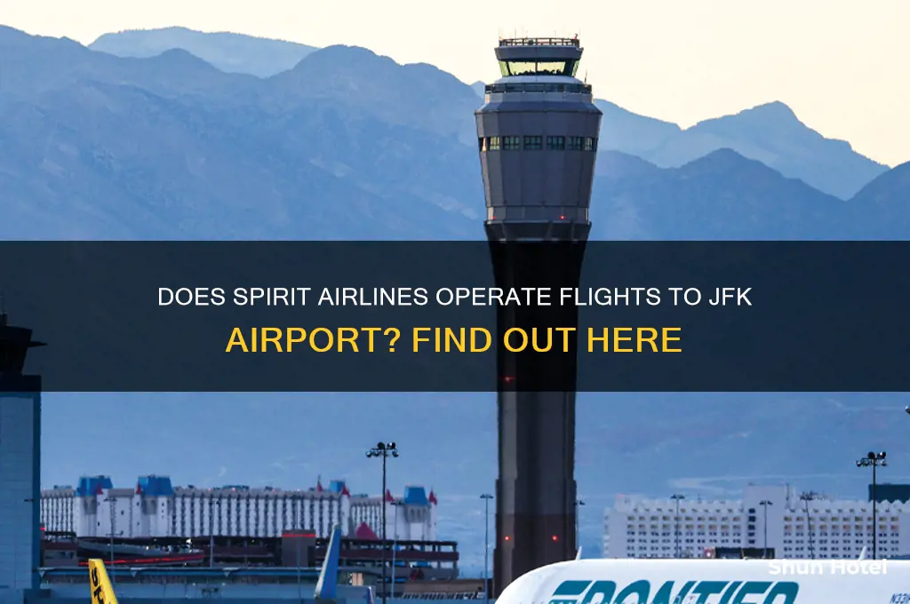 does spirit fly to jfk airport