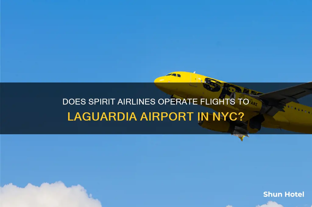 does spirit fly to la guardia airport in ny