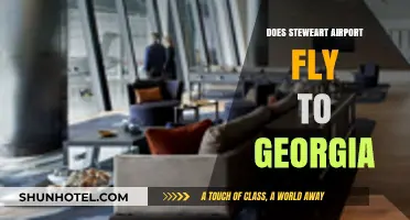 Stewart Airport Flights to Georgia: Routes, Airlines, and Travel Options