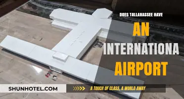 Exploring Tallahassee's Airport: Is It International or Domestic?