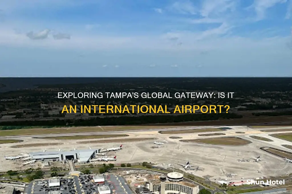 does tampa have an international airport