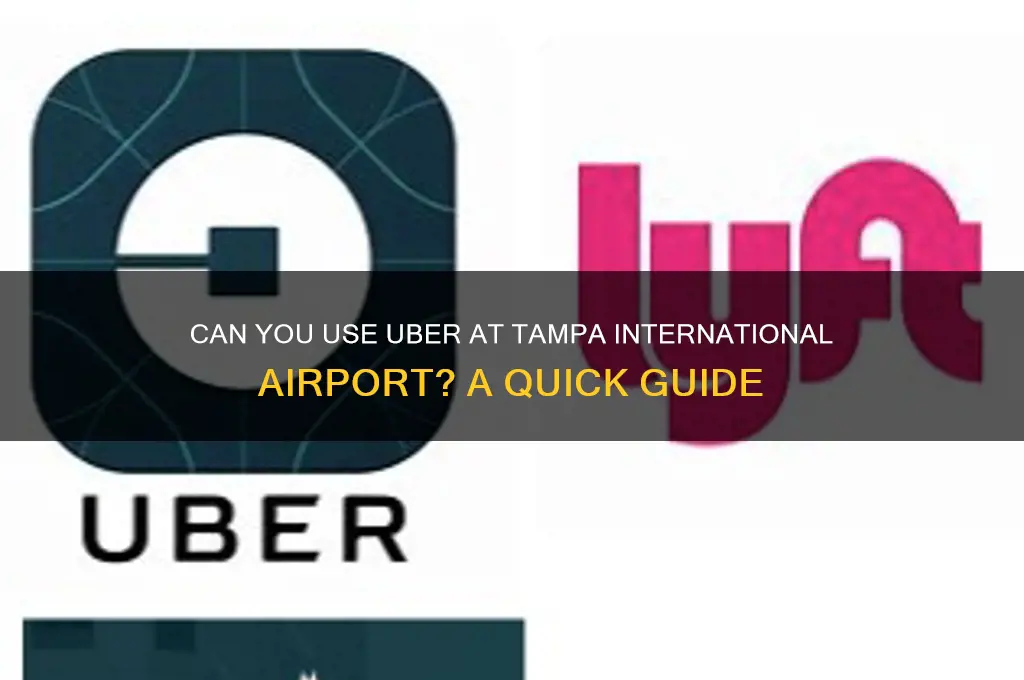 does tampa international airport allow uber
