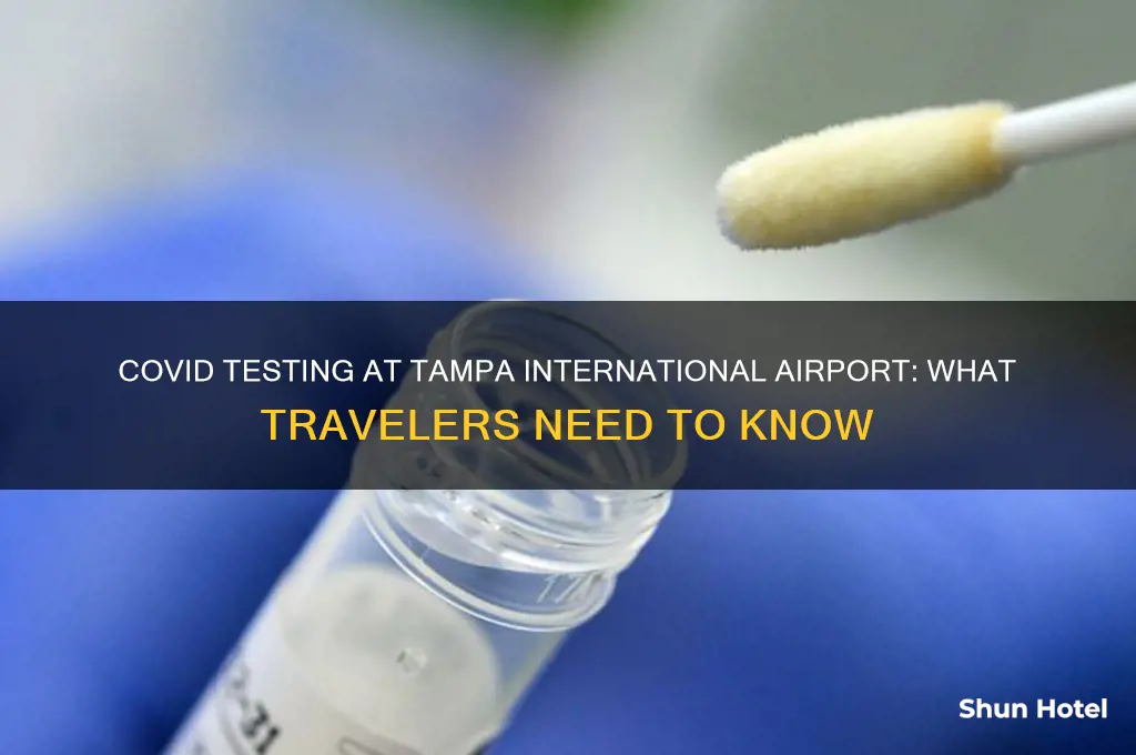 does tampa international airport have covid testing