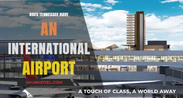 Exploring Tennessee's Global Gateway: Does the State Have an International Airport?
