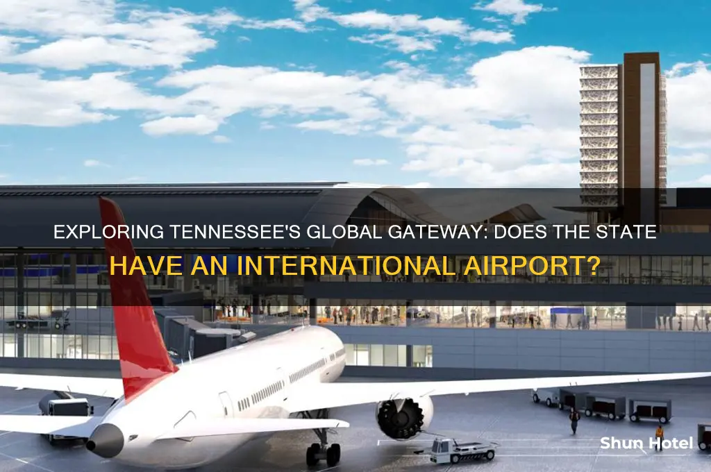 does tennessee have an international airport