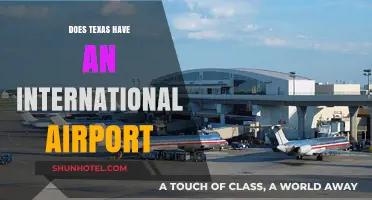 Exploring Texas: Does the Lone Star State Have an International Airport?