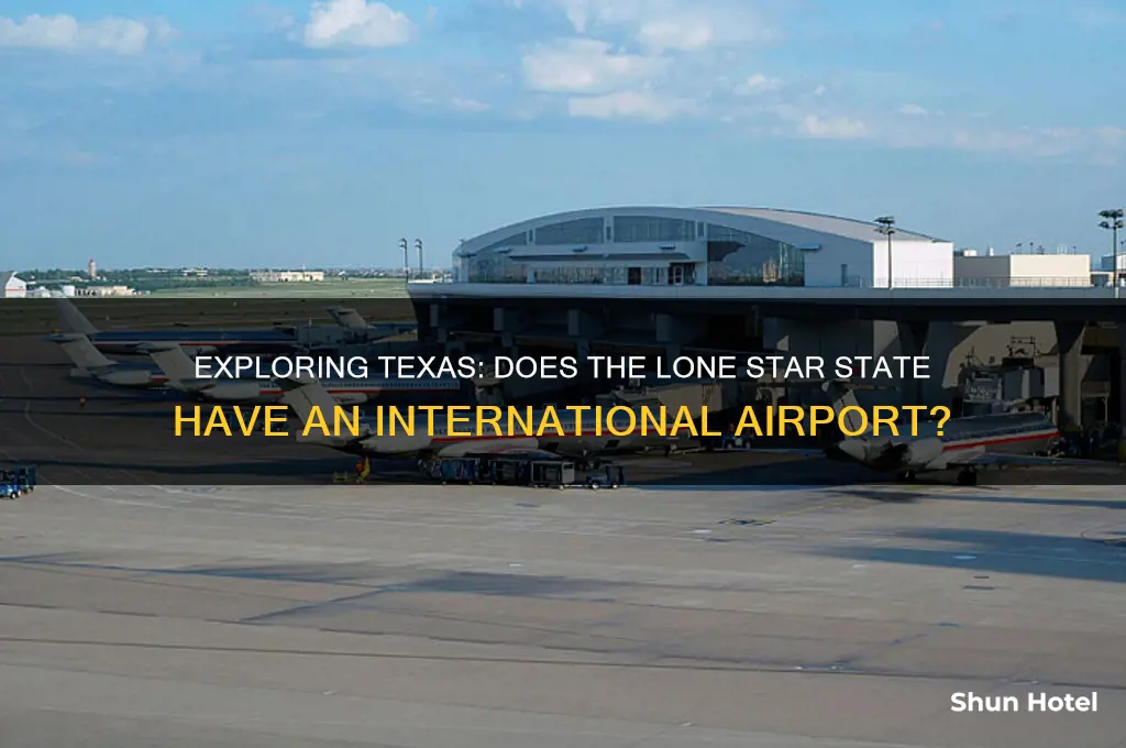 does texas have an international airport