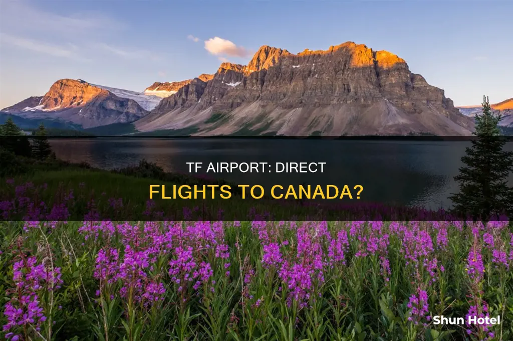 does tf airport have flights to canada