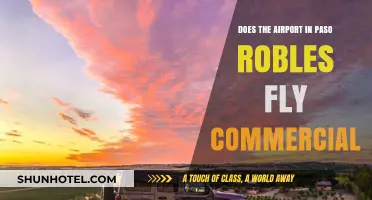 Does Paso Robles Airport Offer Commercial Flights? Exploring Local Air Travel Options