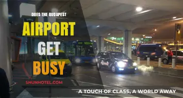 Is Budapest Airport Crowded? A Guide to Peak Travel Times