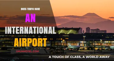 Exploring Tokyo's International Airport: Narita and Haneda Connections