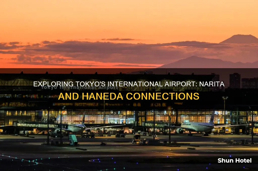 does tokyo have an international airport