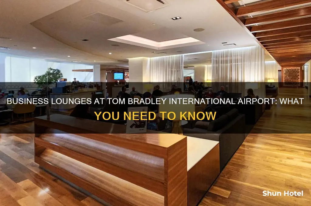 does tom bradley international airport have business lounges