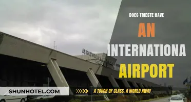 Trieste's Air Travel Hub: International Airport or Regional Gateway?